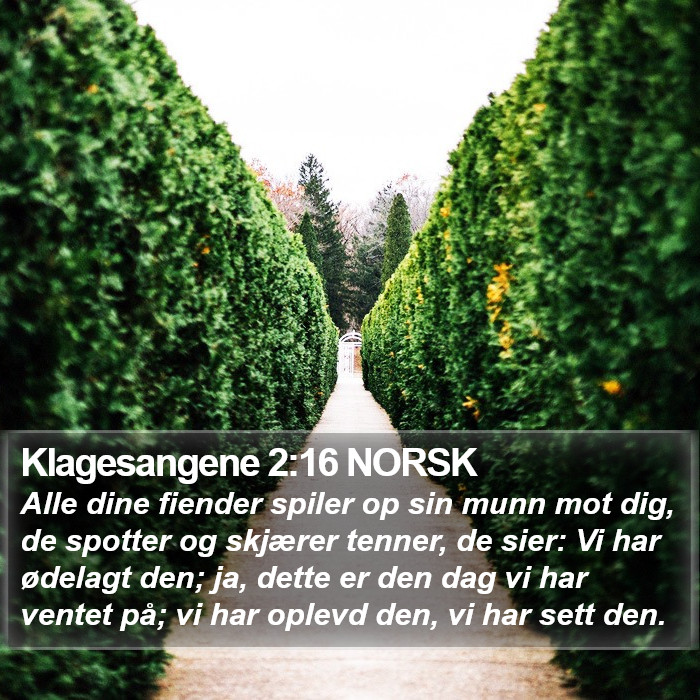 Klagesangene 2:16 NORSK Bible Study