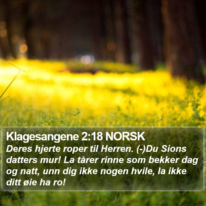 Klagesangene 2:18 NORSK Bible Study