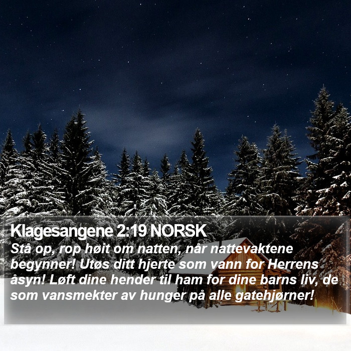 Klagesangene 2:19 NORSK Bible Study