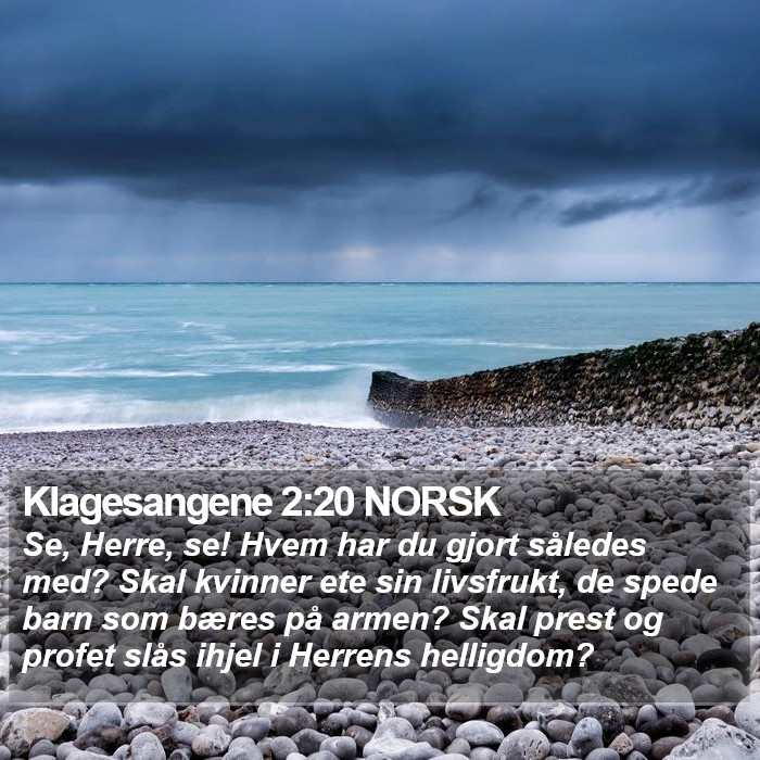 Klagesangene 2:20 NORSK Bible Study