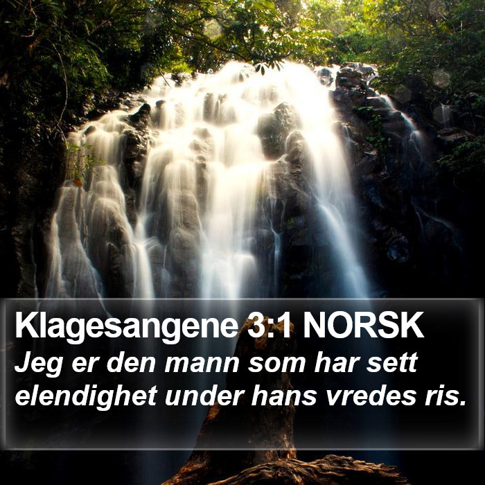 Klagesangene 3:1 NORSK Bible Study