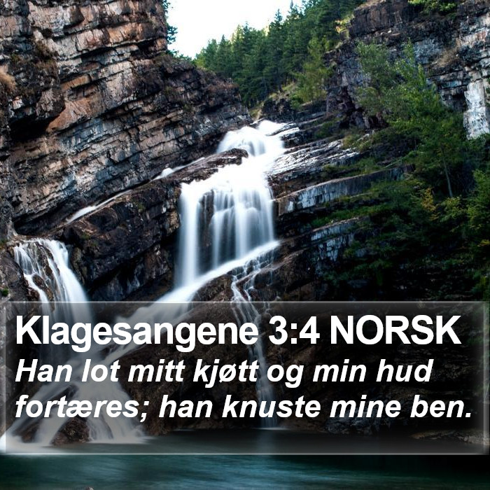 Klagesangene 3:4 NORSK Bible Study