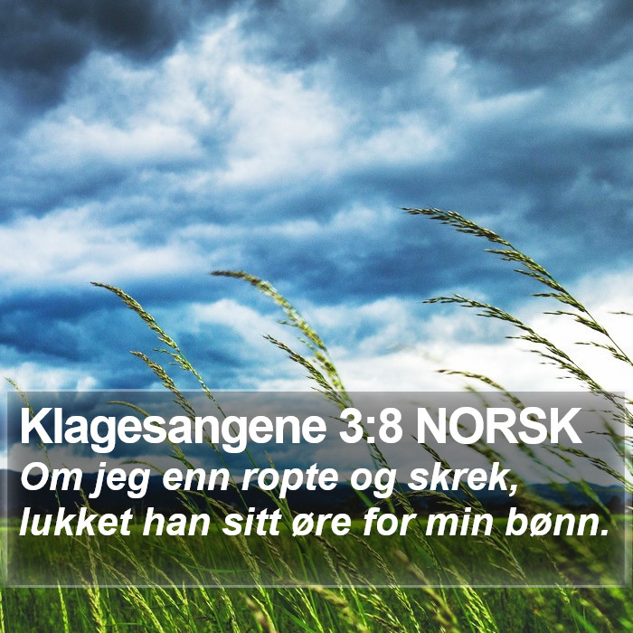 Klagesangene 3:8 NORSK Bible Study