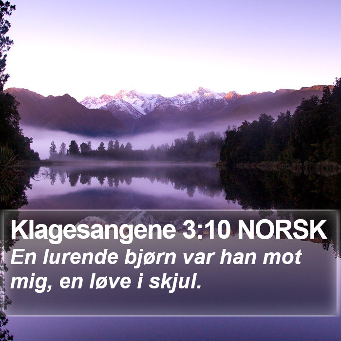 Klagesangene 3:10 NORSK Bible Study