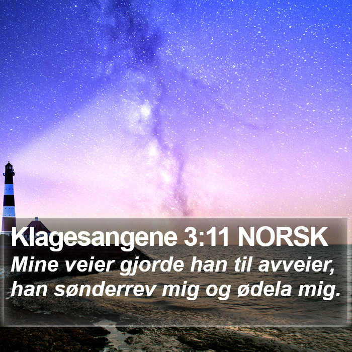 Klagesangene 3:11 NORSK Bible Study