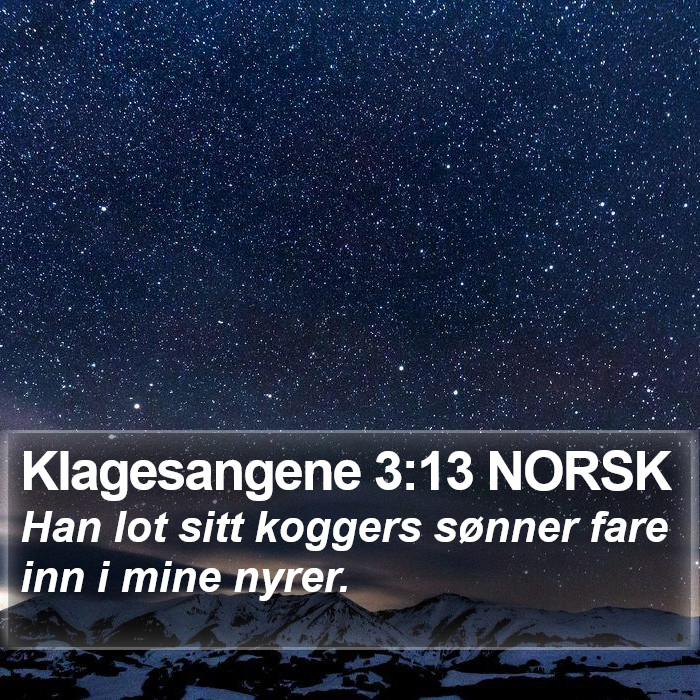 Klagesangene 3:13 NORSK Bible Study