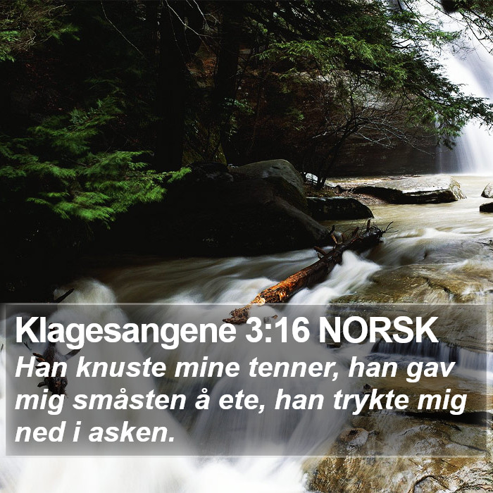 Klagesangene 3:16 NORSK Bible Study