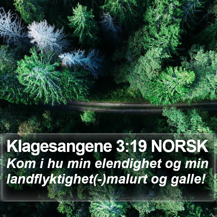 Klagesangene 3:19 NORSK Bible Study