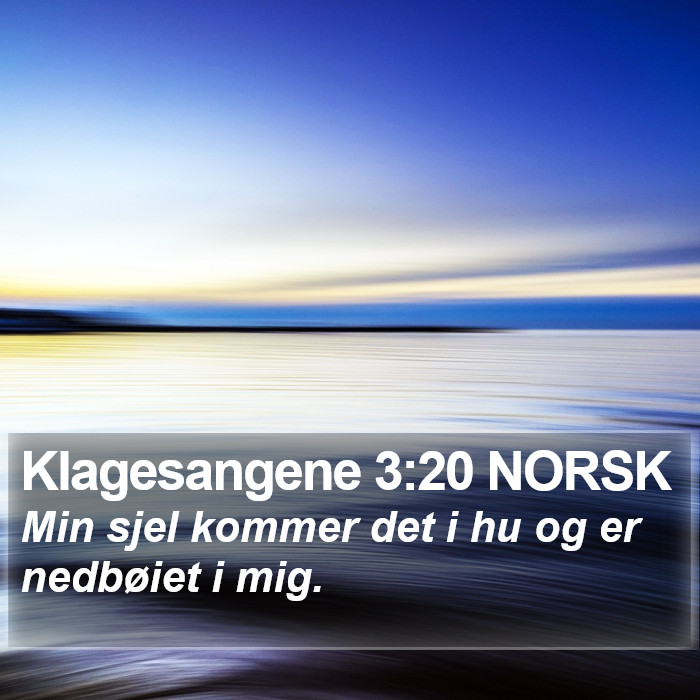 Klagesangene 3:20 NORSK Bible Study