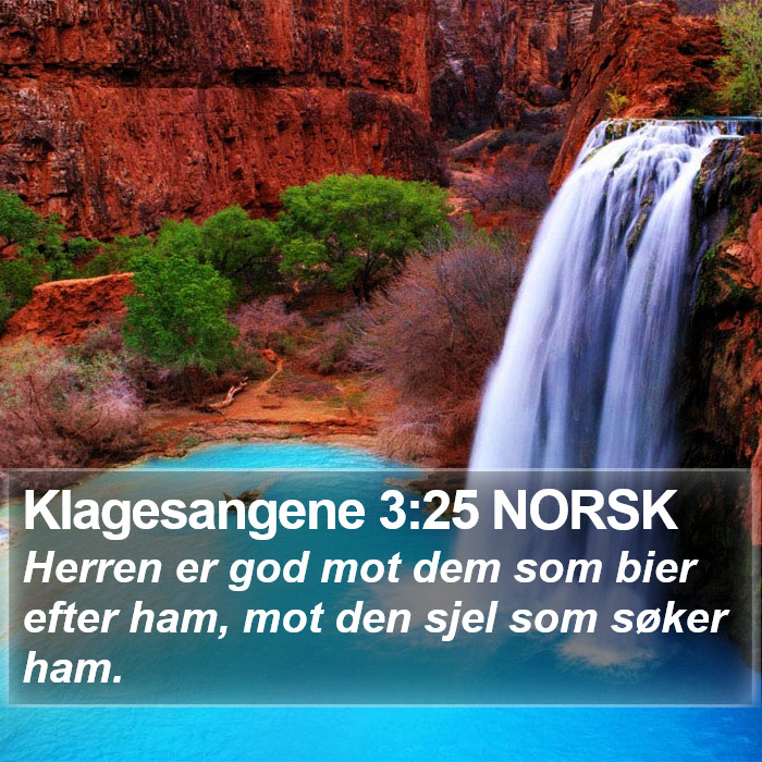 Klagesangene 3:25 NORSK Bible Study