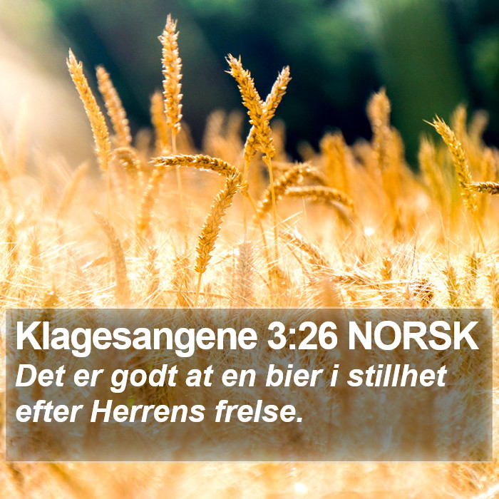 Klagesangene 3:26 NORSK Bible Study