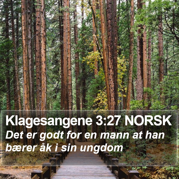Klagesangene 3:27 NORSK Bible Study