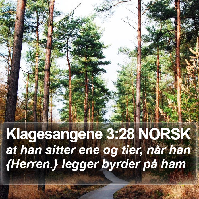 Klagesangene 3:28 NORSK Bible Study