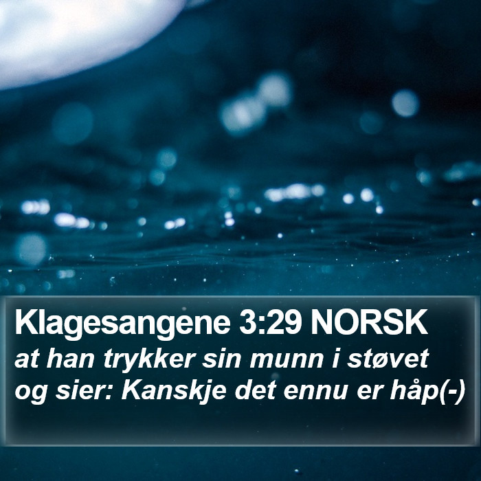 Klagesangene 3:29 NORSK Bible Study