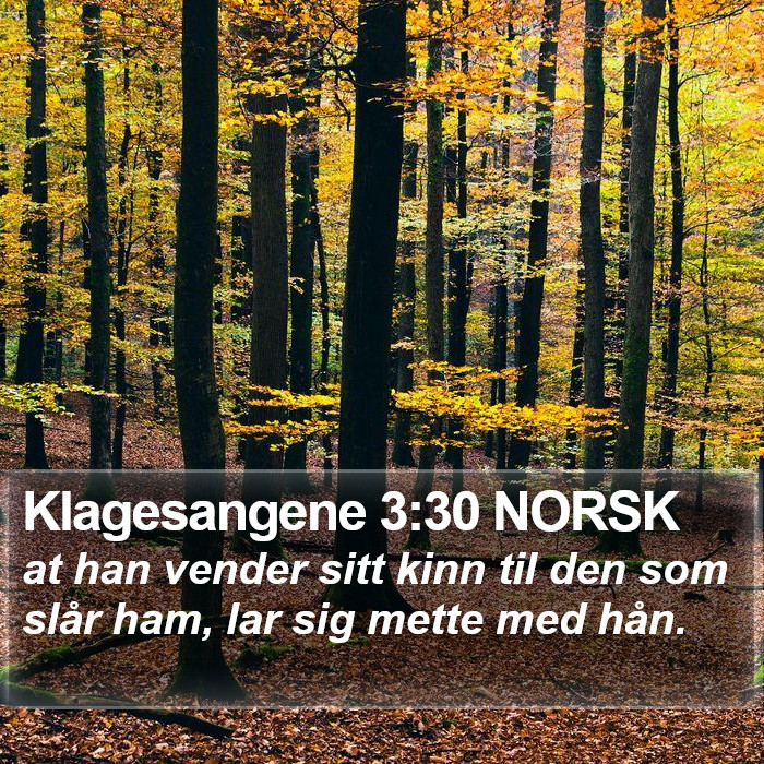 Klagesangene 3:30 NORSK Bible Study