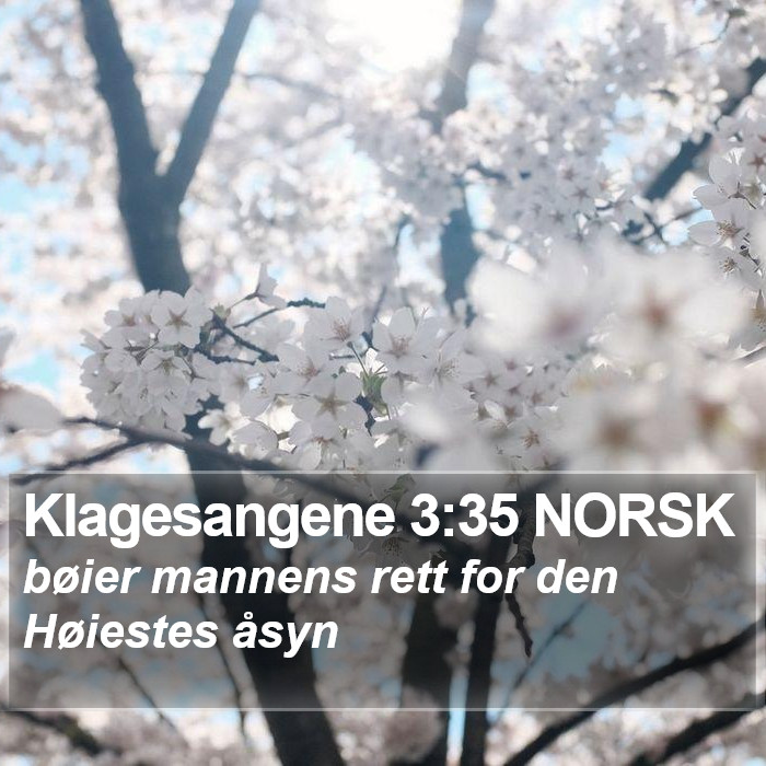 Klagesangene 3:35 NORSK Bible Study