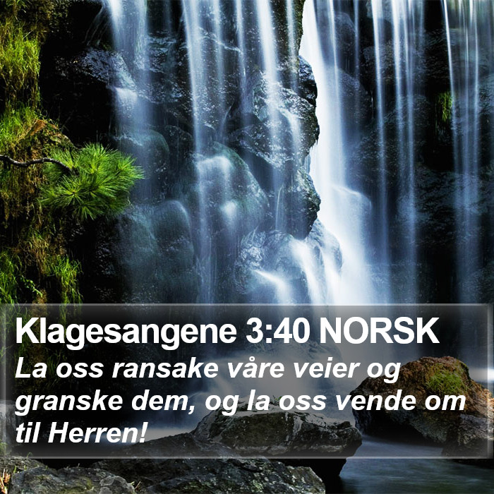 Klagesangene 3:40 NORSK Bible Study