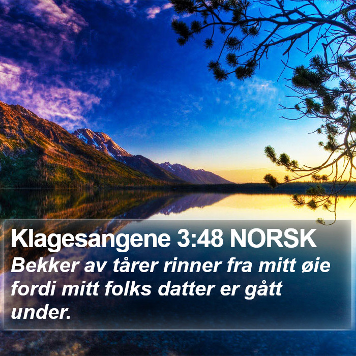 Klagesangene 3:48 NORSK Bible Study