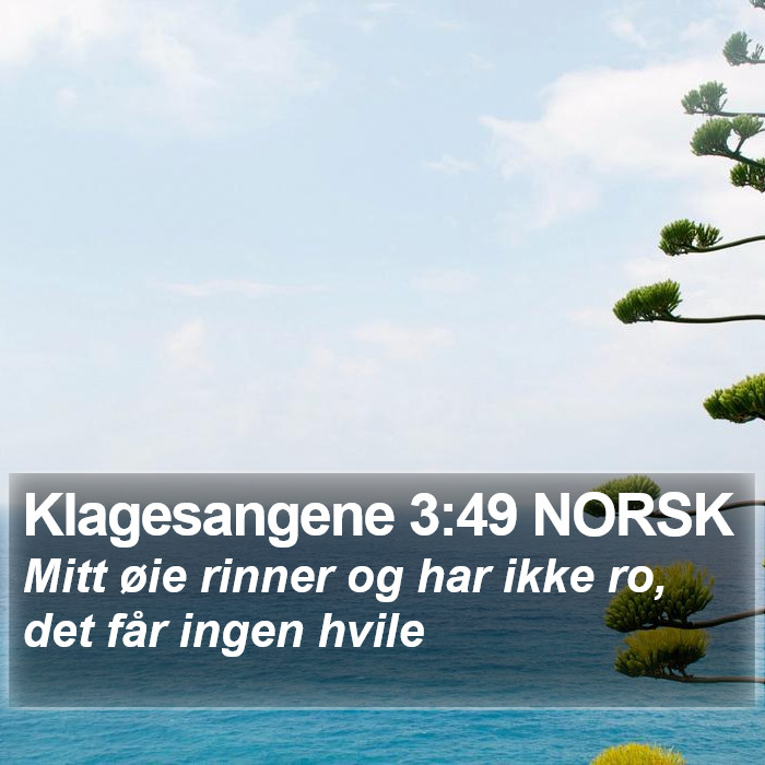 Klagesangene 3:49 NORSK Bible Study