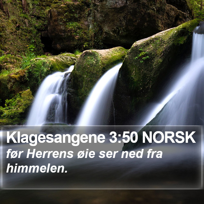 Klagesangene 3:50 NORSK Bible Study