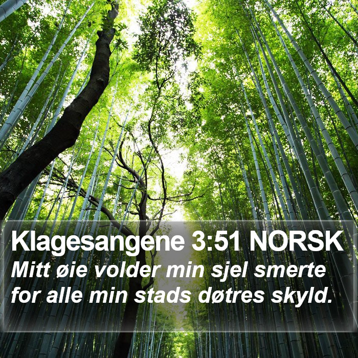 Klagesangene 3:51 NORSK Bible Study