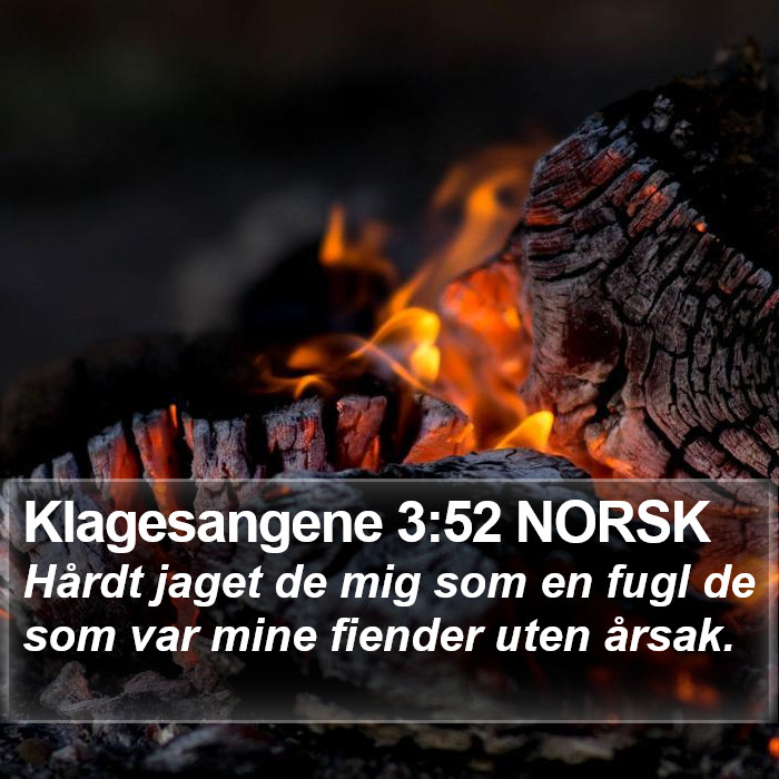 Klagesangene 3:52 NORSK Bible Study