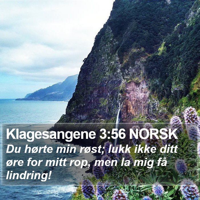 Klagesangene 3:56 NORSK Bible Study