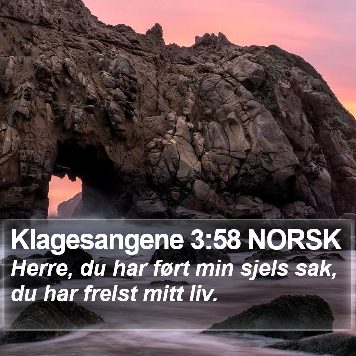 Klagesangene 3:58 NORSK Bible Study