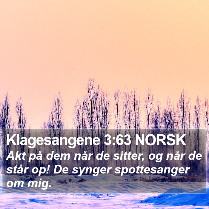Klagesangene 3:63 NORSK Bible Study