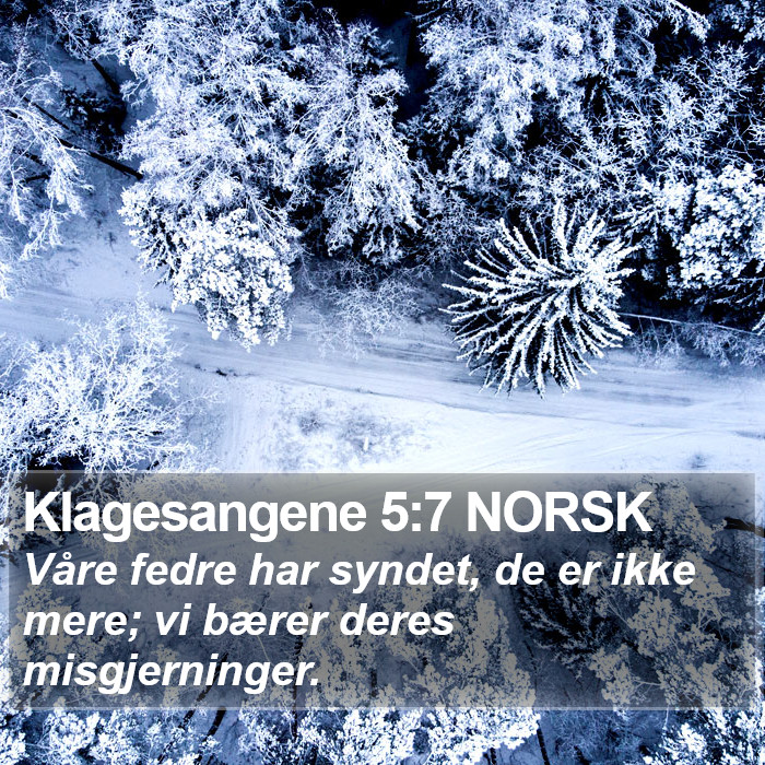 Klagesangene 5:7 NORSK Bible Study