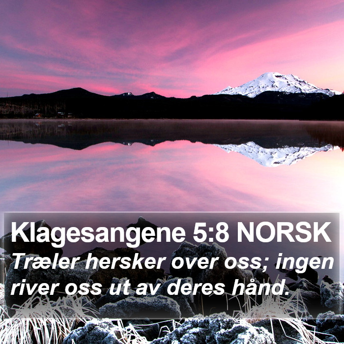 Klagesangene 5:8 NORSK Bible Study