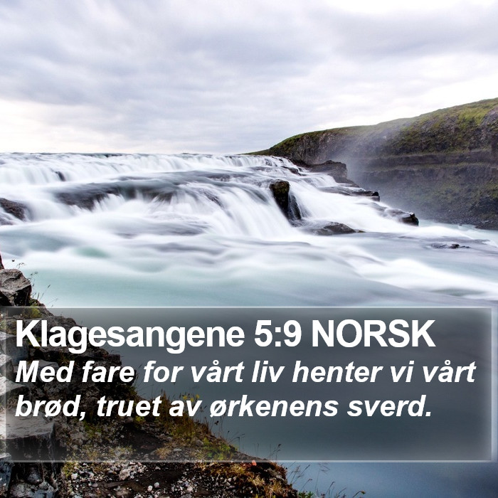 Klagesangene 5:9 NORSK Bible Study