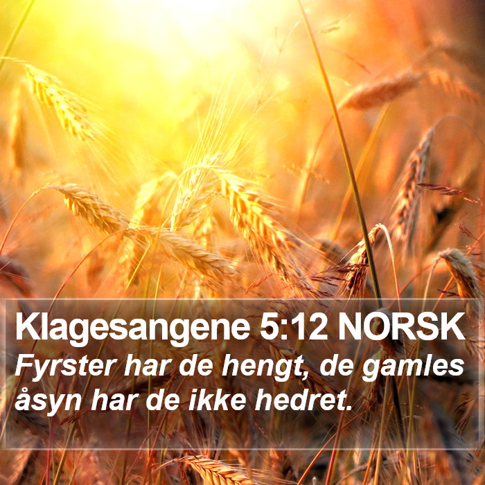 Klagesangene 5:12 NORSK Bible Study