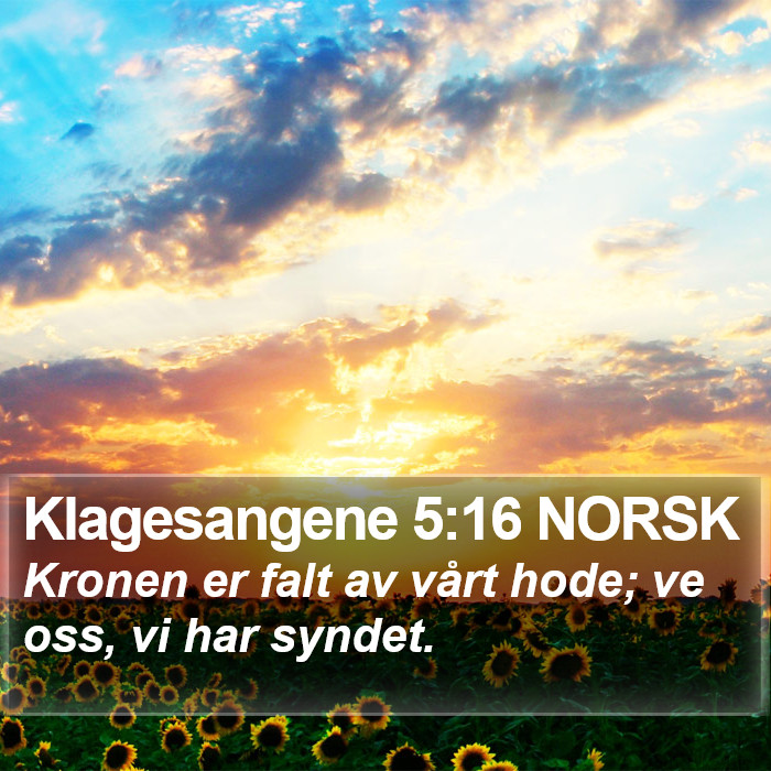 Klagesangene 5:16 NORSK Bible Study