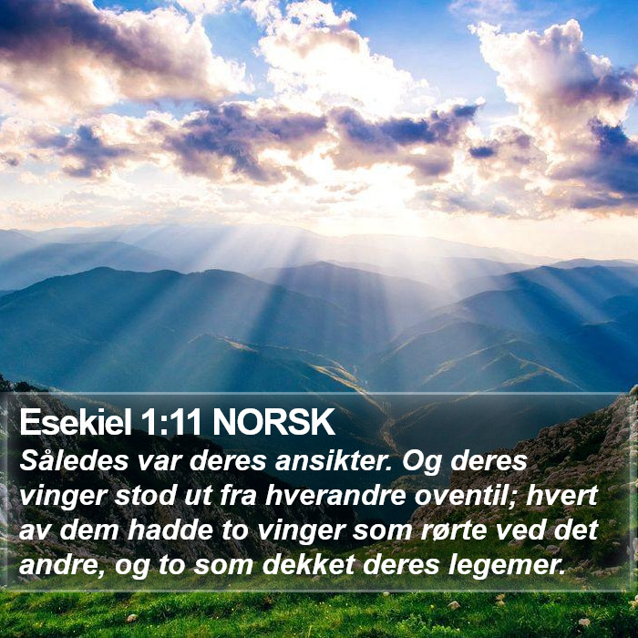 Esekiel 1:11 NORSK Bible Study