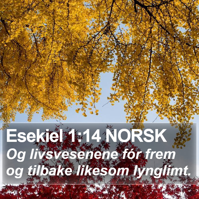 Esekiel 1:14 NORSK Bible Study