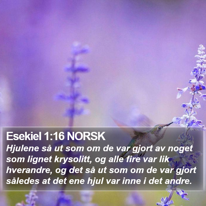 Esekiel 1:16 NORSK Bible Study