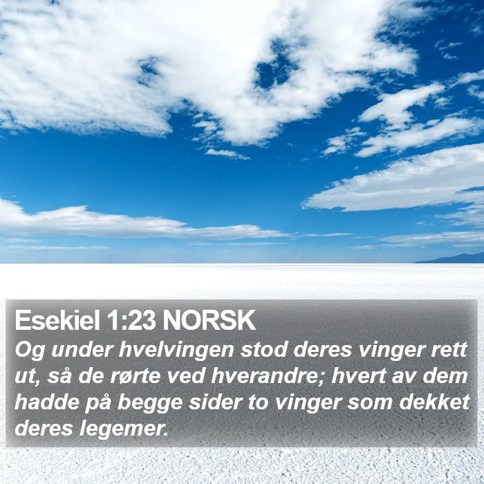 Esekiel 1:23 NORSK Bible Study