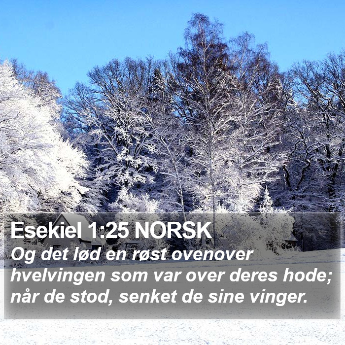 Esekiel 1:25 NORSK Bible Study