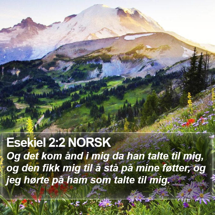 Esekiel 2:2 NORSK Bible Study