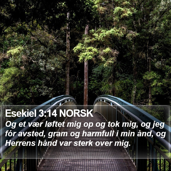 Esekiel 3:14 NORSK Bible Study