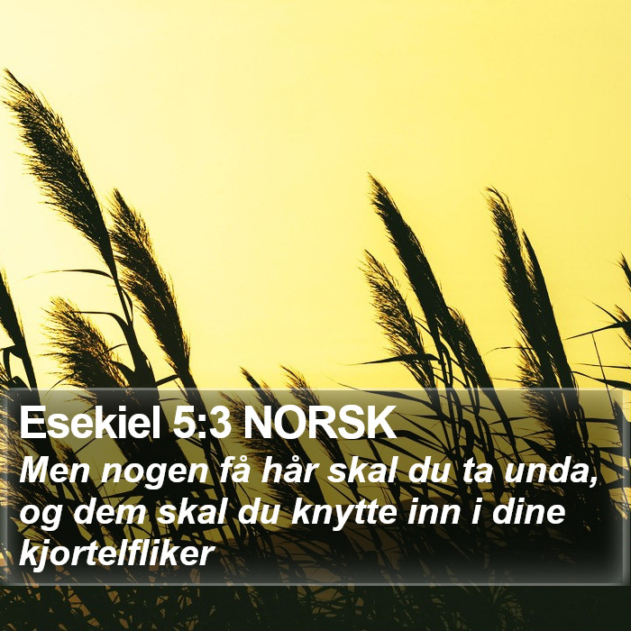 Esekiel 5:3 NORSK Bible Study