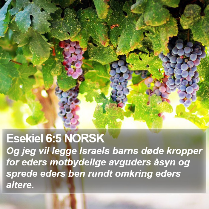 Esekiel 6:5 NORSK Bible Study