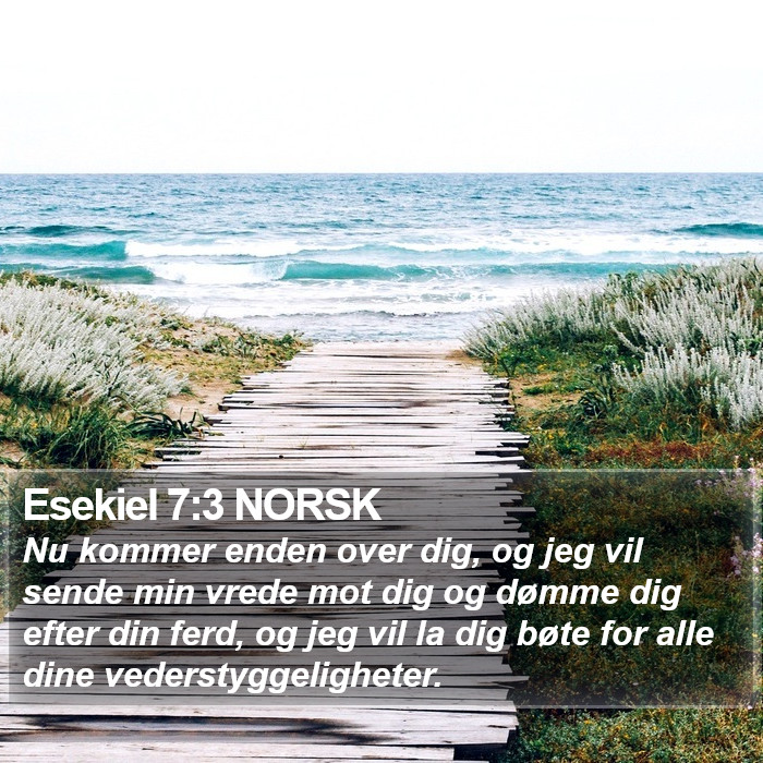 Esekiel 7:3 NORSK Bible Study