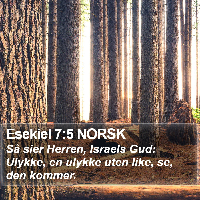 Esekiel 7:5 NORSK Bible Study