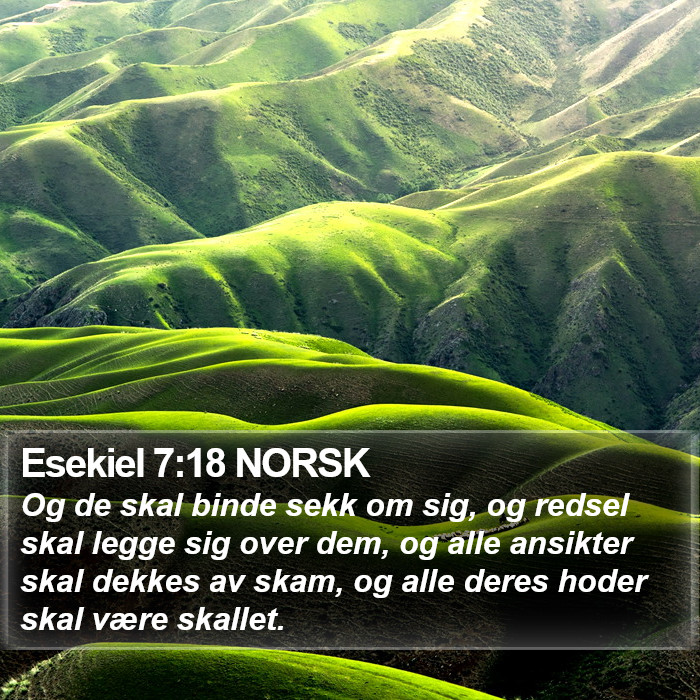 Esekiel 7:18 NORSK Bible Study