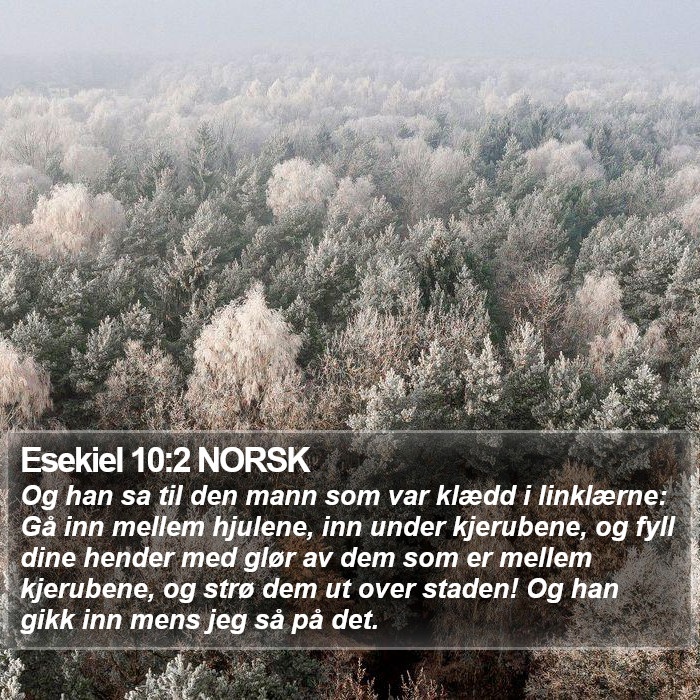 Esekiel 10:2 NORSK Bible Study