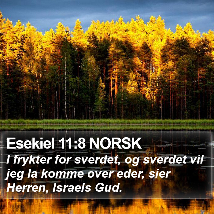 Esekiel 11:8 NORSK Bible Study