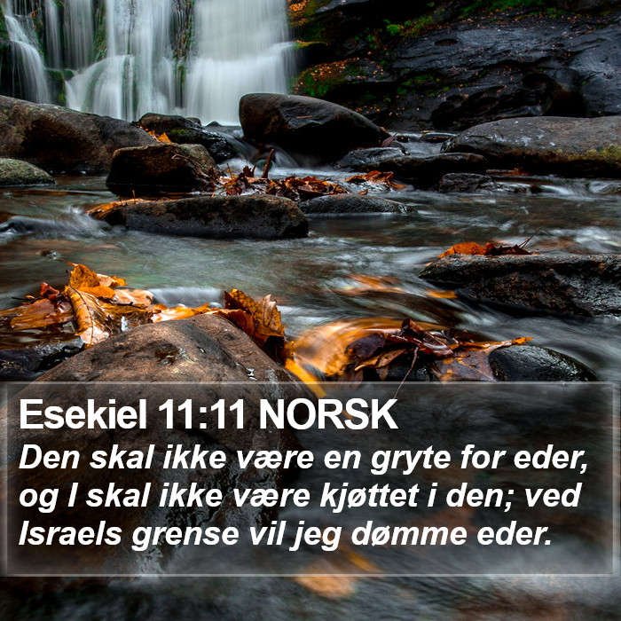 Esekiel 11:11 NORSK Bible Study