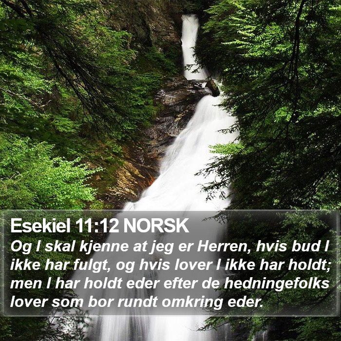 Esekiel 11:12 NORSK Bible Study